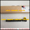 DELPHES véritable et nouveau EMBR00301D, R00301D, HRD362, injecteur commun Ssangyong 6710170121, A6710170121 de rail original fournisseur
